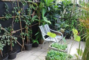曼谷生态之家民宿的花园里的白色椅子