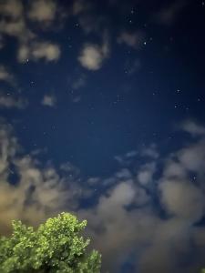 科马尔尼克Casutele din Poienita的云朵和树的夜空