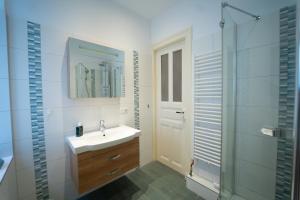莱比锡Charles & Kätchen Design Zentrum的一间带水槽、淋浴和镜子的浴室