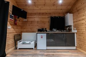 邓加文The Hen Harrier - 4 Person Luxury Glamping Cabin的一间带冰箱的厨房,位于带木墙的客房内