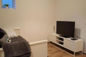 霍尔斯沃德吕尔博尔格公寓的客厅配有白色橱柜上的平面电视