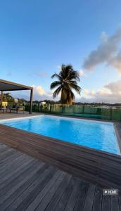 萨莱比梅Joli appartement cosy avec piscine的棕榈树甲板上的游泳池