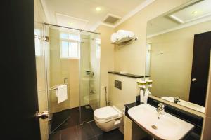 科伦坡科伦坡美景酒店的一间带水槽、卫生间和镜子的浴室