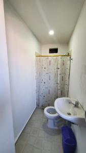 圣玛尔塔SUITE GRANDE的一间带卫生间和水槽的浴室