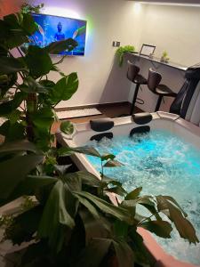 科希策SPAYA JACUZZI centrum apartment - with home cinema & private parking的客房设有带椅子的游泳池和一台电视。