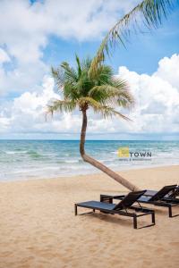 富国Luxy Park Hotel & Apartments - MTown的海滩上的两把躺椅和一棵棕榈树