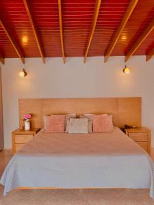 拉维加Juan de la vega的卧室配有一张带粉红色枕头的大床