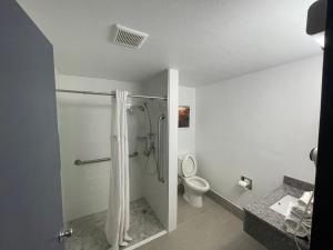 肖尼肖尼戴斯酒店的带淋浴和卫生间的浴室
