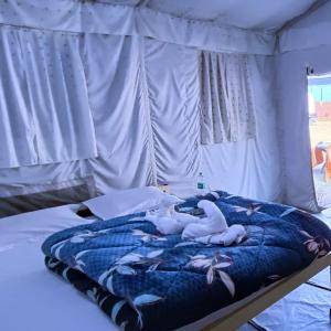 瑞诗凯诗The FnF Resort & Camping - Rishikehs的一张床上有两只白色天鹅