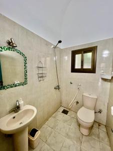 达哈布幻影村酒店的浴室配有卫生间、盥洗盆和淋浴。