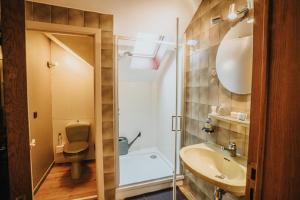 韦姆Le refuge de Kila的一间带水槽、卫生间和镜子的浴室