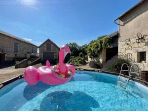 勒皮圣母院The Old Winery, Loire的游泳池里的粉红色充气火烈鸟