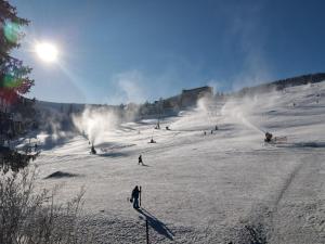 奥泊维森塔尔Summit of Saxony Resort Oberwiesenthal的一群人沿着雪覆盖的斜坡滑雪