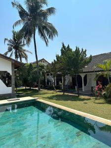 龙目岛库塔The Confidential Mandalika的棕榈树屋前的游泳池
