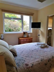 伊尔弗勒科姆Avoncourt Lodge的一间卧室设有一张大床和一个窗户。