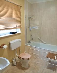 伊尔弗勒科姆Avoncourt Lodge的浴室配有卫生间、淋浴和浴缸。
