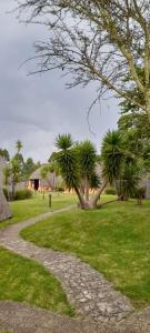 姆巴巴内Hawane Resort的棕榈树公园中的石头路径