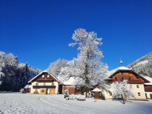 法伊施特瑙Ferienhaus Laimerbauer的一座有雪覆盖的建筑,前面有一棵树