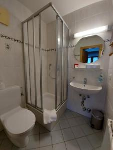 迈尔霍芬Haus Monika und Haus Claudia的带淋浴、卫生间和盥洗盆的浴室
