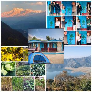 博卡拉Hom's Homestay & campsite Sarangkot Pokhara的山屋照片的拼合
