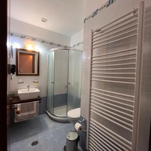 卡斯塔奈阿Guesthouse Kastania Korakis的带淋浴、卫生间和盥洗盆的浴室