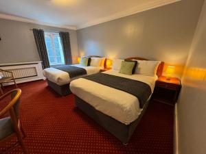基拉尼The Killarney Grand的酒店客房设有两张床和窗户。
