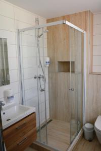 米库洛夫Apartmány Pemag Mikulov的带淋浴、水槽和卫生间的浴室