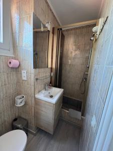 芒通Menton Ciapetta的一间带水槽、淋浴和卫生间的浴室