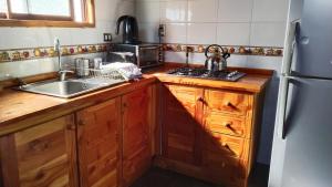 卡布尔瓜Cabañas sueños del sur的厨房配有木制橱柜、水槽和冰箱。