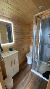 邓加文The Peregrine - 2 Person Luxury Glamping Cabin的带淋浴、卫生间和盥洗盆的浴室