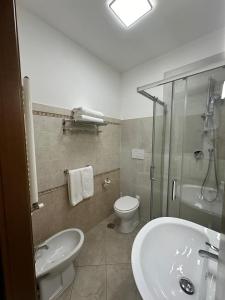 InfernettoCiclamino Appartamento Roma的一间带水槽、卫生间和淋浴的浴室