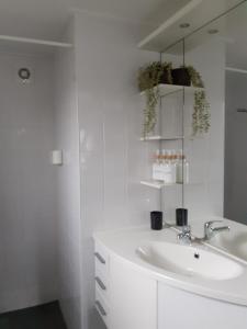 曲马勒姆4-persoons vakantiehuisje Simmerwille的白色的浴室设有水槽和镜子