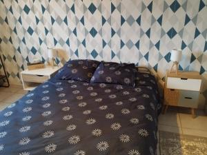 Marnay-sur-SeineChambre chez l'habitant avec Sdb et WC privatifs的一间卧室配有一张带蓝色棉被的床
