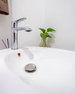 La CañadaEncantadora propiedad Equipado en la Ciudad的浴室水槽配有水龙头和植物