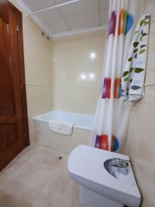 佩尼斯科拉Amplio apartamento céntrico的一间带卫生间和淋浴帘的浴室