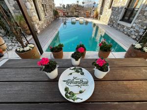 塞尔丘克以弗所阿坎图斯酒店的游泳池旁的桌子上放着盆栽植物
