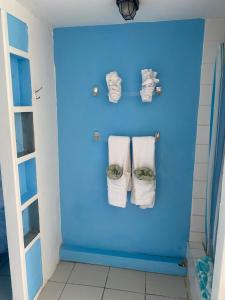 马里戈特湾Blue Bamboo cottage Marigot Bay.的蓝色的浴室,墙上挂着毛巾