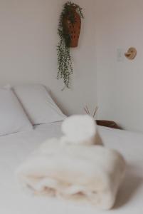 卡拉伊瓦Casinhas da Serena - Casa concha的一张带枕头的白色床和墙上的植物