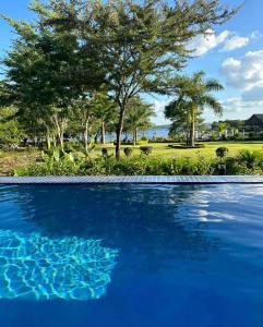 索赫燕杜Lira Boutique Lodge的一座绿树成荫的蓝色游泳池
