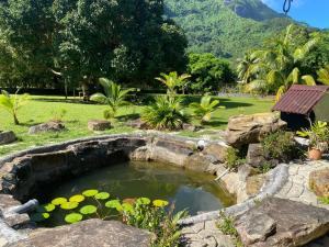 法勒Hiti Lodge的花园中的一个水塘与百合花