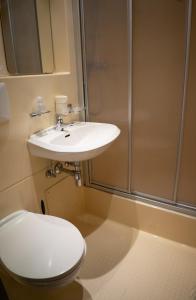 Pettnau沙伯宾馆的浴室配有卫生间、盥洗盆和淋浴。