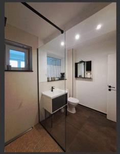 巴亚马雷Apartment Iris bedroom living and parking voucher vacanță的一间带水槽和卫生间的浴室