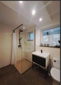 巴亚马雷Apartment Iris bedroom living and parking voucher vacanță的一间带水槽、淋浴和卫生间的浴室