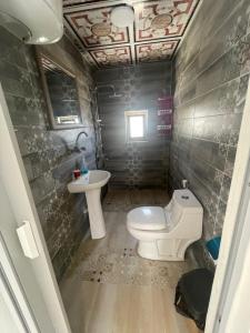 Ad DimnahAl-Karak Countryside and hotel的一间带卫生间和水槽的小浴室