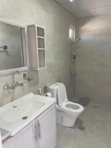 Ad DimnahAl-Karak Countryside and hotel的浴室配有卫生间、盥洗盆和淋浴。