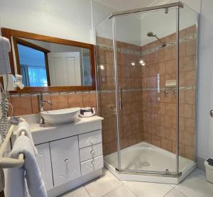 斯旺西Swansea Cottages & Lodge Suites的带淋浴和盥洗盆的浴室