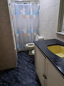 蒙得维的亚Casona con Barbacoa en Av princ的浴室配有卫生间、盥洗盆和淋浴。