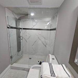 多伦多Basement Apartment in Luxury Beach House的带淋浴和卫生间的浴室。