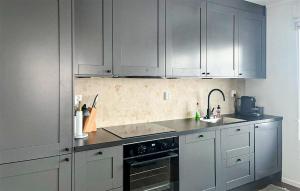 伊德勒Beautiful Apartment In Idre With House A Panoramic View的厨房配有灰色橱柜、水槽和炉灶。