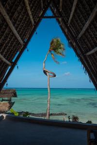 MfumbwiBe Zanzibar Boutique Hotel的透过窗户看到海滩上的棕榈树
